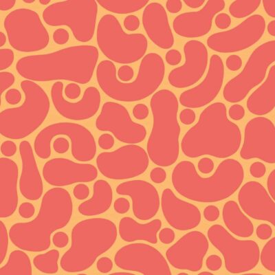 Amoeba