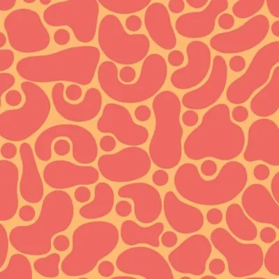 Amoeba
