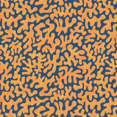 Coral Reef