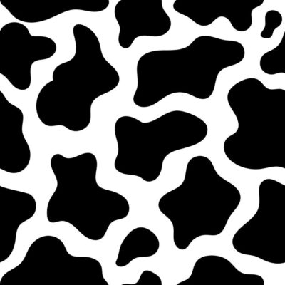 We Have Cows